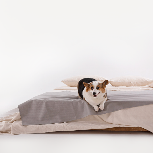 Coperta impermeabile - Resistente ai graffi per famiglie con cani/gatti