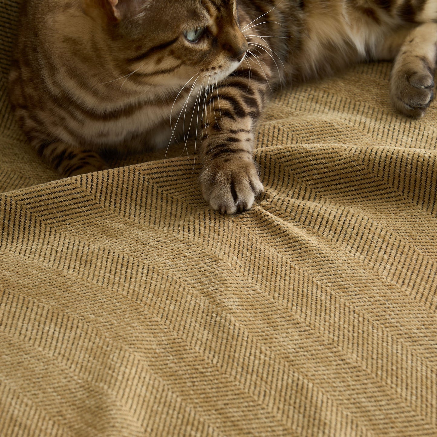 Copridivano Resistente Zig Zag adatto agli animali domestici