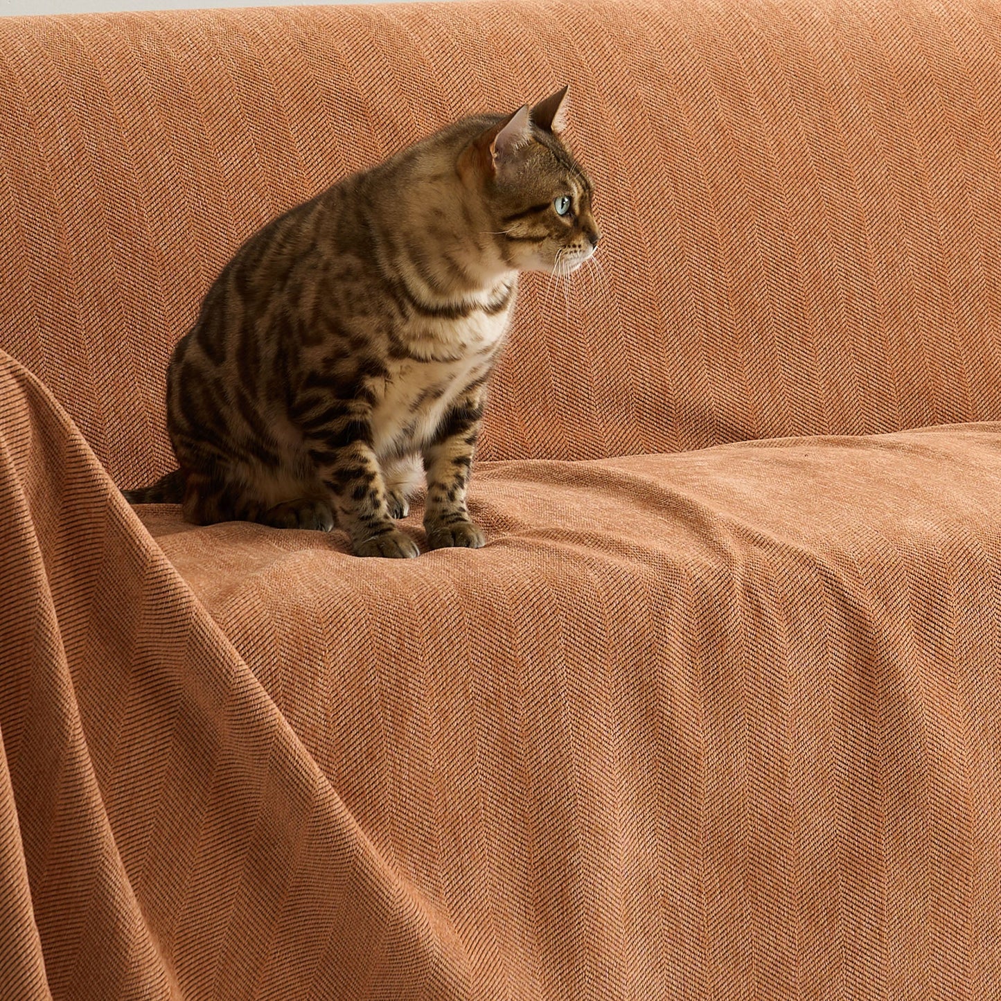 Copridivano Resistente Zig Zag adatto agli animali domestici