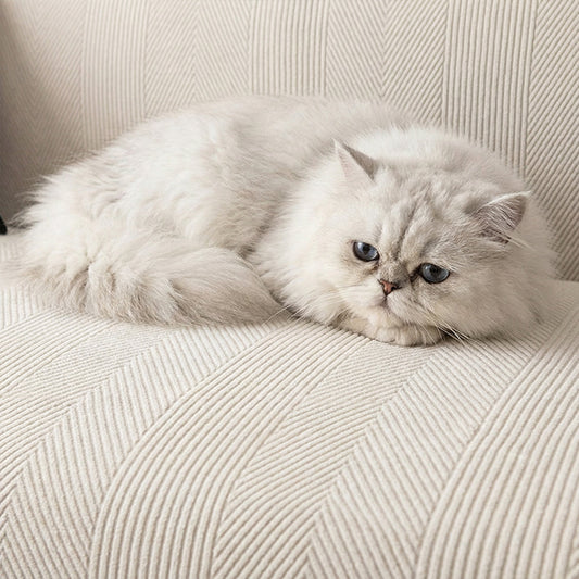 Copridivano impermeabile AquaFlex GeoStretch