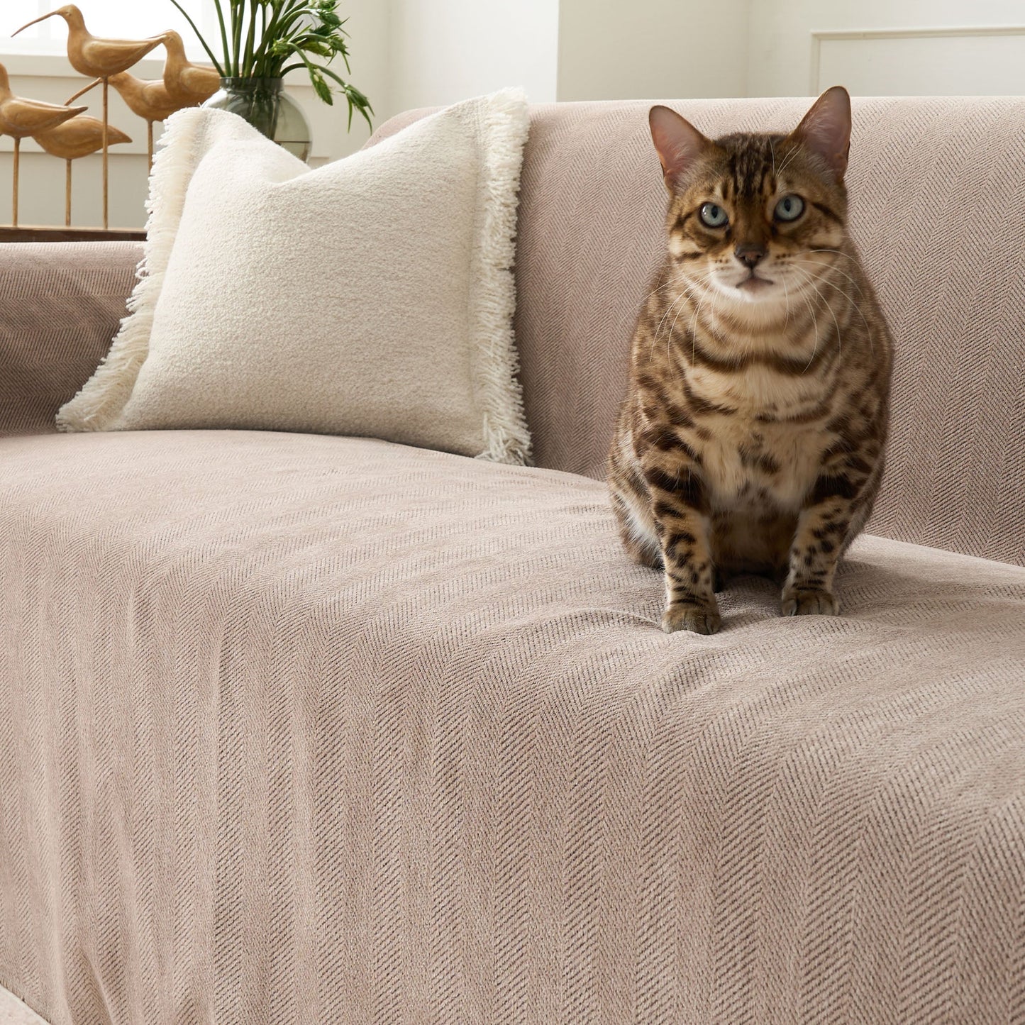 Copridivano Resistente Zig Zag adatto agli animali domestici